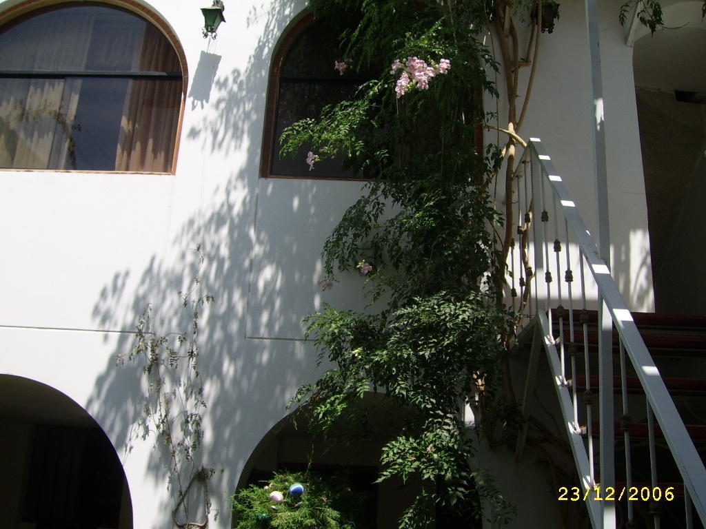 Hostal Camiluz Nazca Exterior photo