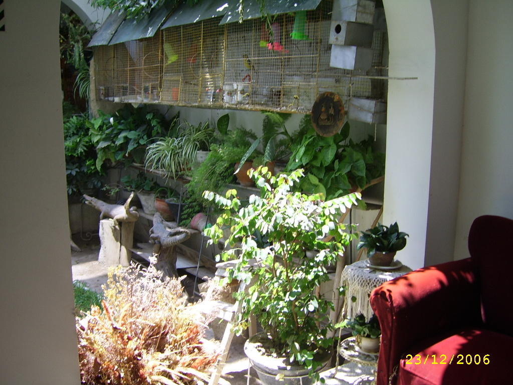 Hostal Camiluz Nazca Exterior photo